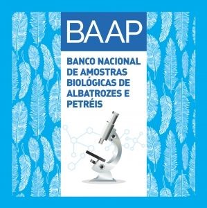 BAPP_site-1