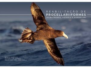 Foto Biblioteca_Livro Procellariiformes