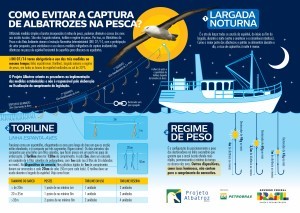 Como evitar a captura de albatrozes na pesca_ Como evitar a captura de albatrozes na pesca_