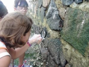 Alunos da Tatibitati & Átrio estudando o Costão Rochoso