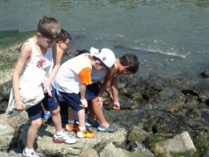 Estudantes coletando espécies marinhas