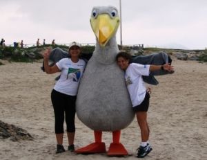 Wisdom, albatroz fêmea, mascote da Volvo Ocean Race