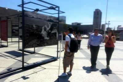 Público presente na exposição