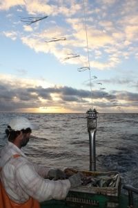 O toriline é uma das medidas permanentes que deve ser utilizada em todas as embarcações de pesca de espinhel. Foto: Dimas Gianuca/ Projeto Albatroz