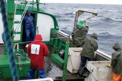 Recolhimento de linha, Barco Maria