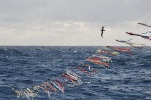 Toriline, equipamento formado, entre outros elementos, por fitas coloridas que afugentam as aves