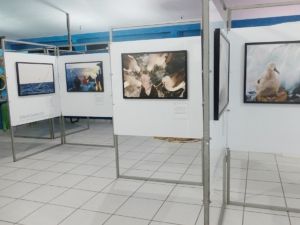 Foto Notícias_Exposição Arraial do Cabo 2