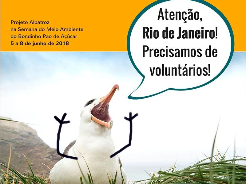 Foto Notícias_Voluntários RJ