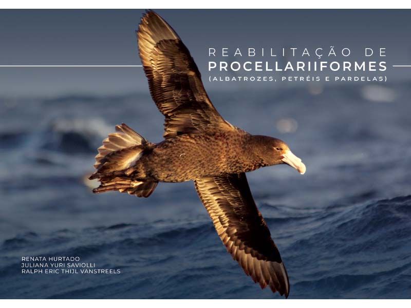 Foto Notícias_Livro Procelariiformes