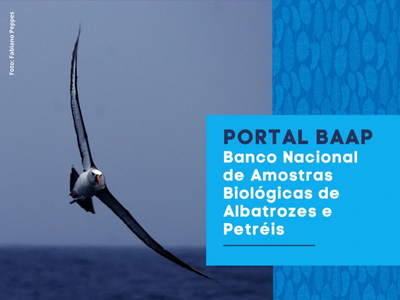 Cópia de PORTAL BAAP Banco Nacional de Amostras Biológicas de Albatrozes e Petréis (2)