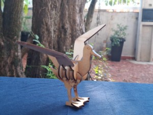albatroz lado