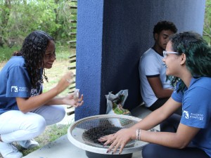 Foto_Notícia_Dia da Botânica 2 Foto_Notícia_Dia da Botânica 2