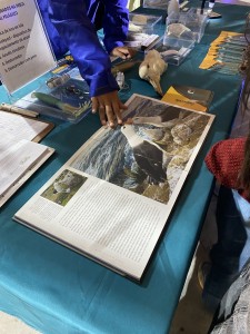S�o Paulo Ocean Week: Projeto Albatroz leva educa��o ambiental e ci�ncia para mais de 14 mil pessoas