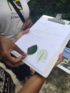 Projeto Albatroz propõe mergulho na cultura oceânica com programação especial aos finais de semana Projeto Albatroz propõe mergulho na cultura oceânica com programação especial aos finais de semana