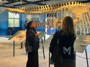 Projeto Albatroz comemora aniversário do seu Centro de Visitação com programação para toda a família Projeto Albatroz comemora aniversário do seu Centro de Visitação com programação para toda a família