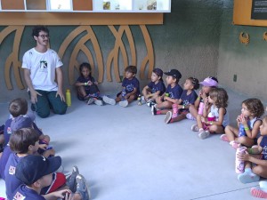 Projeto Albatroz comemora aniversário do seu Centro de Visitação com programação para toda a família Projeto Albatroz comemora aniversário do seu Centro de Visitação com programação para toda a família