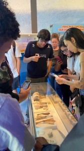 Projeto Albatroz comemora aniversário do seu Centro de Visitação com programação para toda a família Projeto Albatroz comemora aniversário do seu Centro de Visitação com programação para toda a família